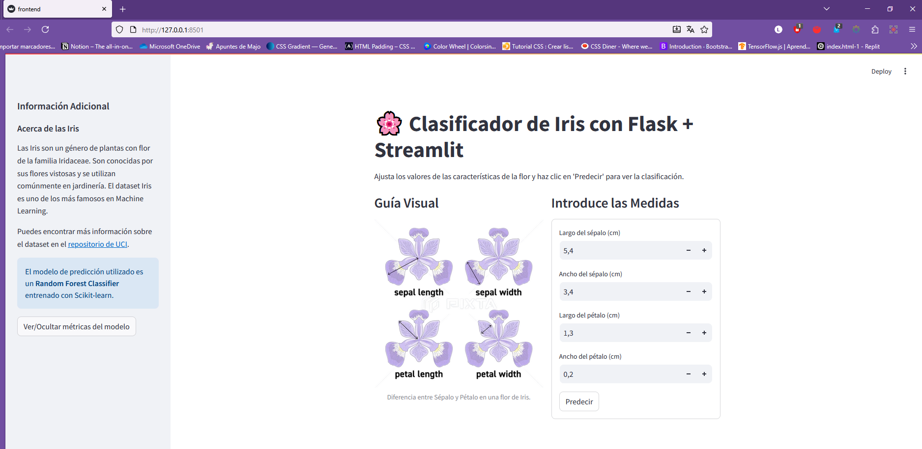 Iris Species Classifier Interface
